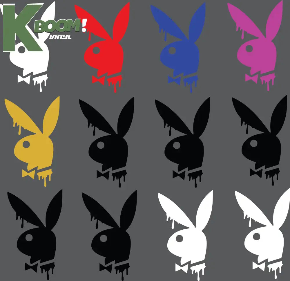 12 X Playboy VARIATIONS IRON ON HEAT TRANSFER SPORT