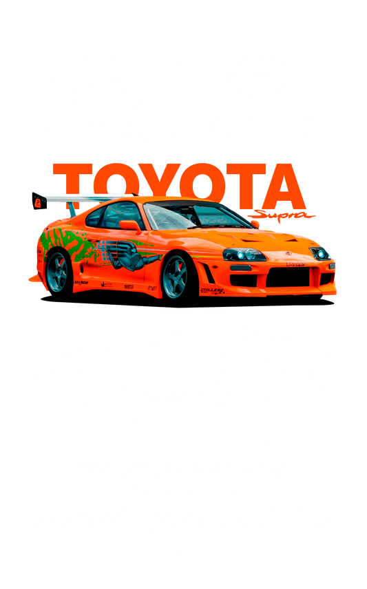 Iron On DTF Transfers For T-Shirt Clothes about 22cm 10 to choice from