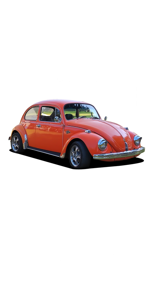 Iron On DTF Transfers For T-Shirt Clothes about 22cm 10 to choice from