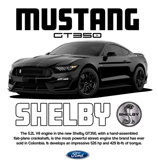 Iron On DTF Transfers For T-Shirt Clothes about 22cm 10 to choice from