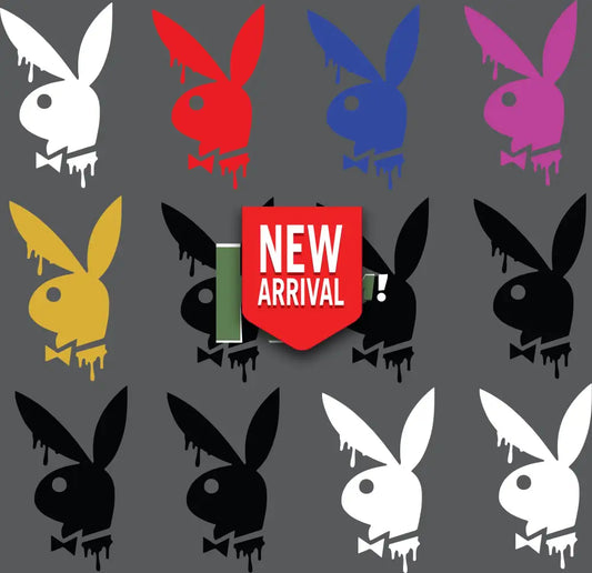 12 X Playboy VARIATIONS IRON ON HEAT TRANSFER SPORT