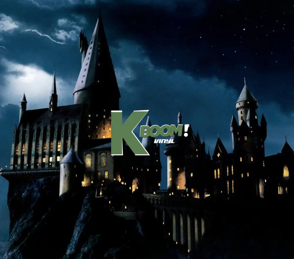 20 Oz Skinny Tumblers Harry Potter design 1 30 image to choice from 22