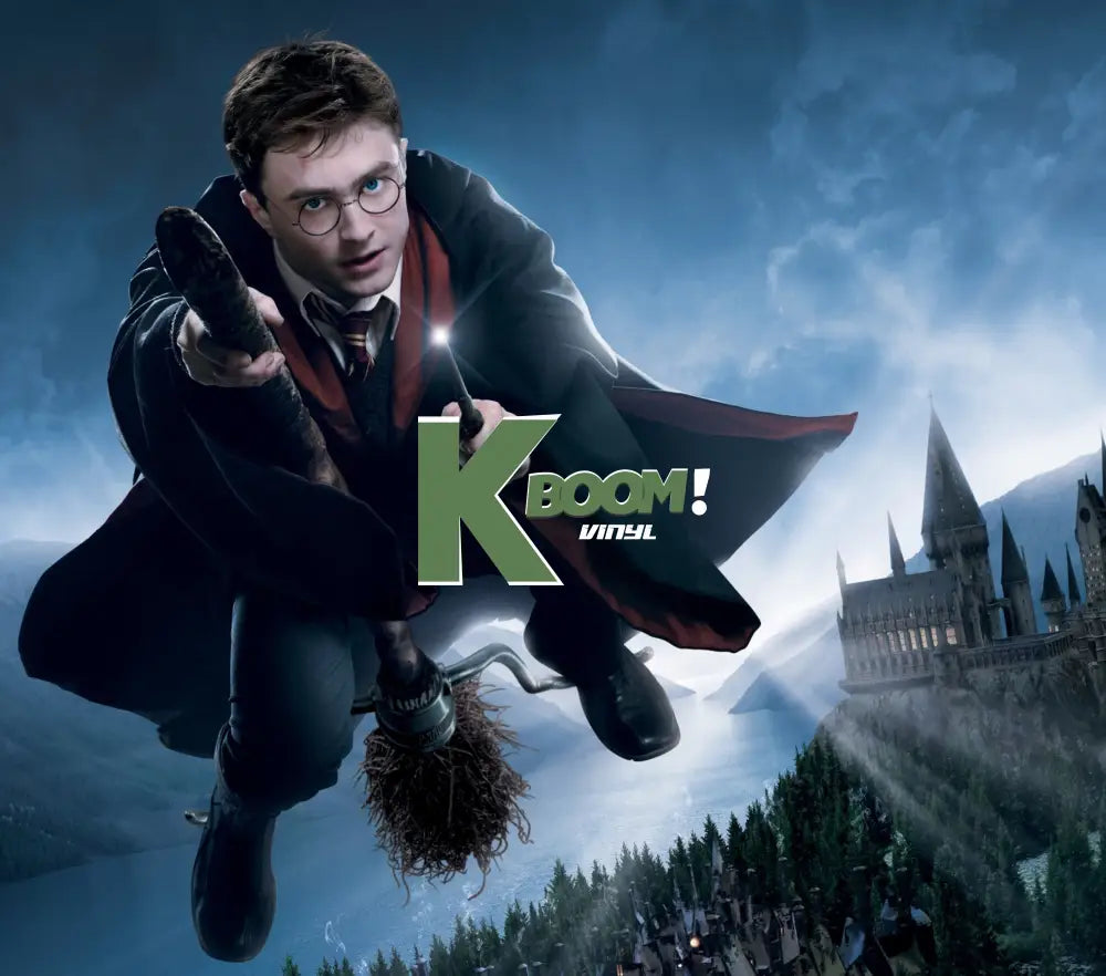 20 Oz Skinny Tumblers Harry Potter design 1 30 image to choice from 20