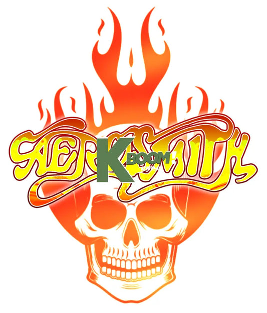 Iron On DTF Transfers For T-Shirt Clothes about 20cm music 11 DTF Transfers