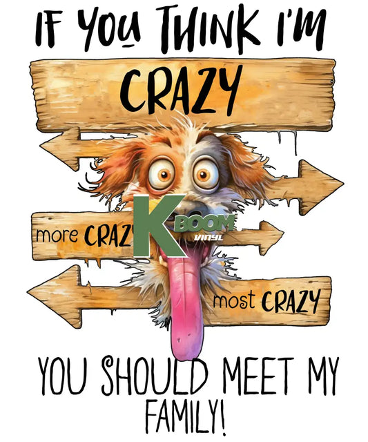 Iron On DTF Transfers For T-Shirt Clothes about 25cm humour 2 DTF Transfers