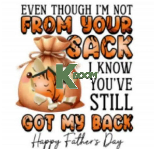 Iron On DTF Transfers For T-Shirt Clothes about 25cm limited stock 80 DTF Transfers